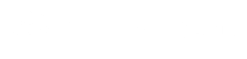 Blue Light Card logo white Blue light card logo in white