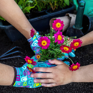 2 people planting a flower in soil